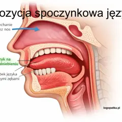 Anatomia języka w pozycji spoczynkowej: język na podniebieniu, czubek za zębami, oddychanie przez nos.
