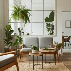 Ein Wohnzimmer im **biophilic design** mit vielen Pflanzen, einem Sofa, Sesseln und Holzelementen.