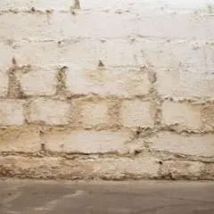 Feuchte Ziegelwand im Keller, Putz bröckelt ab. Der Boden ist ebenfalls feucht.