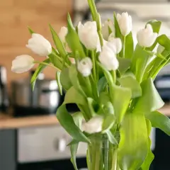 Białe tulipany w wazonie. Dowiedz się, co zrobić, żeby tulipany dłużej stały i cieszyły oko świeżością.