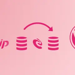 Migration de SPIP vers WordPress : icônes de bases de données reliées par une flèche, symbolisant le transfert de données.