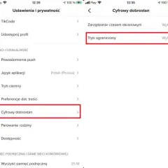 Jak zezwolić TikTokowi na dostęp do aparatu? Włącz Tryb ograniczony w Ustawieniach i prywatności.