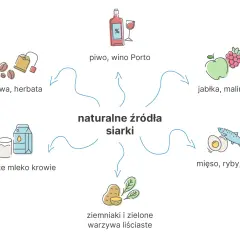 Naturalne źródła siarki: piwo, wino, kawa, herbata, jabłka, maliny, mleko, ziemniaki, warzywa liściaste, mięso, ryby, jaja. Czy siarka organiczna jest szkodliwa?