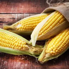 Frische Maiskolben liegen auf Holz. Ist Mais low carb? Nicht wirklich, aber lecker!
