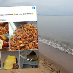 Wspaniałe zbiory bursztynu z polskiego wybrzeża. Właśnie tak wygląda miejsce, gdzie szukać bursztynu w Polsce.