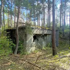 Opuszczony bunkier w lesie, zniszczony przez czas i wojnę. Jego betonowa konstrukcja nosi ślady dawnych walk, świadcząc o historycznym urazie.