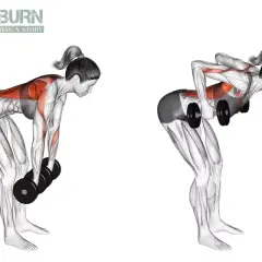 Femme effectuant un rowing haltère, montrant l'activation musculaire du dos et des bras.