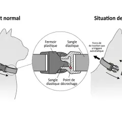 Collier de sécurité pour chat : en cas de danger, la sangle élastique se décroche pour éviter l'étranglement.