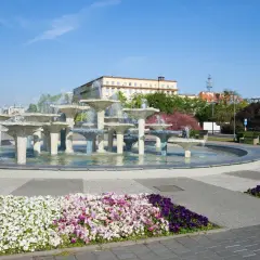 Fontanna w Gdyni, stare miasto, otoczona kolorowymi kwiatami i zielenią.