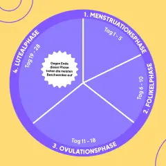 Kreisdiagramm zeigt den weiblichen Zyklus: Menstruation, Follikel-, Ovulations- und Lutealphase. Gegen Ende der Lutealphase treten oft Beschwerden auf.