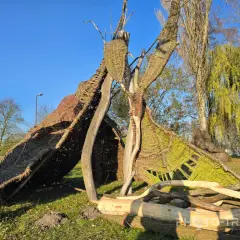 Nowy Tomyśl atrakcje: wiklina, ZOO. Odkryj Polską Stolicę Wikliny!