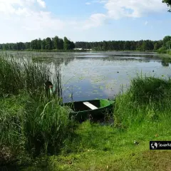 Zielona łódka czeka przy brzegu porośniętym wysoką trawą. W tle rozciąga się spokojny zalew zielona, otoczony lasem.