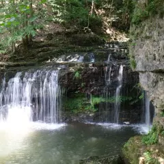 Cascate del Golfarone: un'oasi di pace dove l'acqua scende tra rocce e vegetazione rigogliosa, creando un paesaggio incantevole.