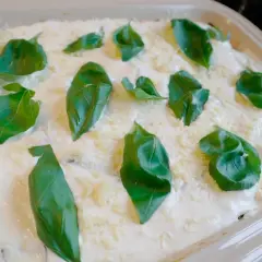 Lasagne med zucchini och fetaost, toppad med krämig ostsås och färsk basilika. En läcker och lätt sommarrätt.