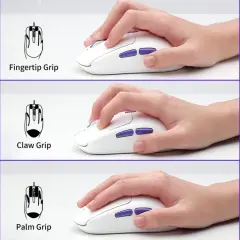 Drei Hände halten eine weiße Maus: Fingertip Grip, Claw Grip und Palm Grip.