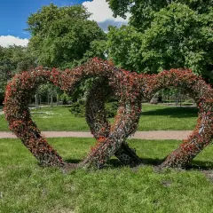 Chełmno: Co zwiedzić w Mieście Zakochanych? Przewodnik po perłach!