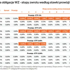 Tabela porównuje stopy zwrotu Beta ETF Obligacji 6M z obligacjami WZ, pokazując, które obligacje najbardziej opłacalne w zależności od prowizji i okresu inwestycji.