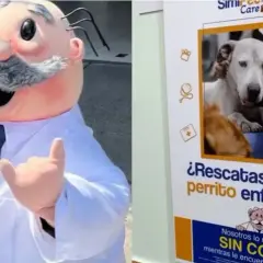 Veterinario gratis: opciones para cuidar de tu mascota sin costo