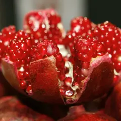 Ein aufgeschnittener Granatapfel mit saftigen roten Kernen. Die **Granatapfelextrakt Wirkung** ist bekannt für ihre antioxidativen Eigenschaften.