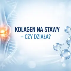 Anatomia stawu kolanowego i cząsteczka kolagenu. Czy kolagen pomaga na stawy?