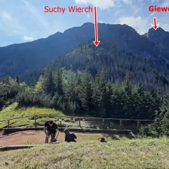 Widok na góry Suchy Wierch i Giewont. Ludzie odpoczywają na szlaku, podziwiając sarnią skałę i jej wysokość.