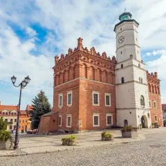Sandomierz rynek z Ratuszem i kamienicami. Brukowany plac, latarnia i zielone krzewy.