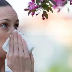 Alergia na pyłki: objawy, różnice z przeziębieniem i skuteczne sposoby