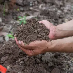 Dłonie trzymają garść ziemi, pokazując, co to jest gleba – życiodajny materiał dla roślin. Obok czerwona łopatka.