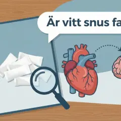 En anteckningsbok visar vitt snus, ett hjärta och en hjärna. Frågan "Är vitt snus farligt?" ställs, med pilar som indikerar en koppling mellan hjärtat och hjärnan.
