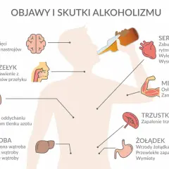 Ilustracja pokazuje skutki alkoholizmu: uszkodzenia mózgu, serca, płuc, wątroby, żołądka, trzustki i mięśni.