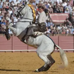 Lea Vicens, jinete en un caballo blanco encabritado, saluda a la multitud en una plaza de toros.