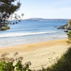 Una persona descansa en la arena dorada de la playa ber, con olas suaves rompiendo en la orilla y un paisaje costero al fondo.