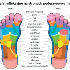Mapa refleksologiczna stóp pokazuje, które **bolące punkty na stopach** odpowiadają różnym organom i częściom ciała, od głowy po kolano.