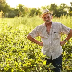 Rolnik w słomkowym kapeluszu stoi na polu soi. Zastanawia się, jak **renta chorobowa KRUS a posiadanie ziemi** wpłynie na jego przyszłość.