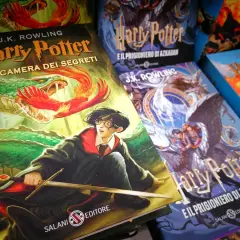 Harry Potter i Komnata Tajemnic, z Harrym walczącym z bazyliszkiem, obok innych tomów tej magicznej zagadki.