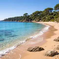 La plage de l'Argentière, avec ses eaux turquoise et sa pinède luxuriante, invite à la détente. Sable doré, rochers et mer scintillante.