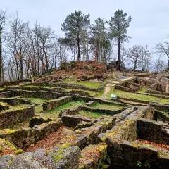 Ruinas de **Santa Mariña de Augas Santas**, con muros de piedra cubiertos de musgo y hojas secas, rodeadas de árboles desnudos bajo un cielo nublado.
