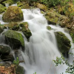 Agua blanca fluye sobre rocas cubiertas de musgo en la cascada Sant Llorenç de Morunys.