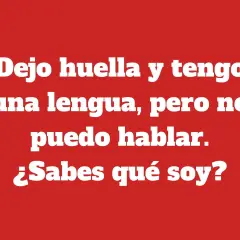 Adivinanza de la lengua: "Dejo huella y tengo una lengua, pero no puedo hablar. ¿Sabes qué soy?