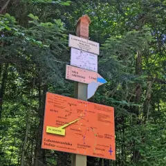 Tablica z drogowskazami w lesie. Wskazuje drogę do Hali Łabowskiej (2,3 km) i Doliny Łabowszczańskiej. Mapa szlaków turystycznych.