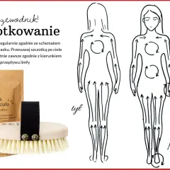 Przewodnik po szczotkowaniu na sucho. Schemat masażu ciała zgodnie z kierunkiem przepływu limfy. Szczotka do masażu ciała.