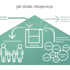 Rekuperacja w Nisku: Kompleksowy Przegląd Usług i Korzyści