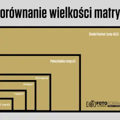 Porównanie wielkości matryc od średniego formatu po 1/2,3". Każda kolejna matryca jest mniejsza.