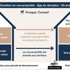 Schéma expliquant la donation en usufruit viager et succession : le donateur garde l'usufruit, la nue-propriété va aux héritiers.