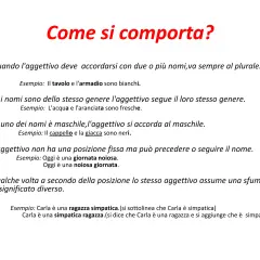 Regole per l'uso degli aggettivi: accordo con nomi multipli, genere e posizione. Esempi illustrano come gli aggettivi quantitativi cambiano.