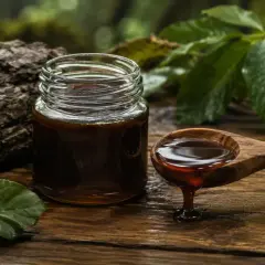 Ciemny, gęsty miód ze spadzi liściastej w słoiku i na drewnianej łyżce, otoczony leśnymi liśćmi i korą.