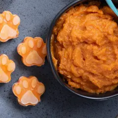 Söta hundtassar av pumpa, perfekt för ett nyttigt hundgodis recept. En skål med pumpapuré och en blå sked.