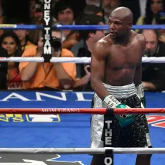 Floyd Mayweather Jr. in the ring, a testament to how long has Floyd Mayweather been boxing. His focused gaze hints at years of dedication.