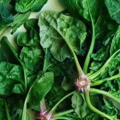Foglie di spinaci freschi, pronte per la tavola. La loro coltivazione è semplice e gratificante, un tocco di verde per ogni piatto.