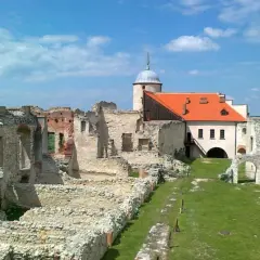 Ruiny zamku w Janowie Podlaskim, jednym z lubelskich miast, z zachowanym fragmentem pałacu i wieżą.